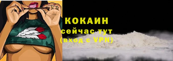 таблы Няндома