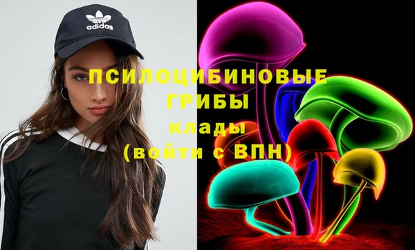 таблы Няндома