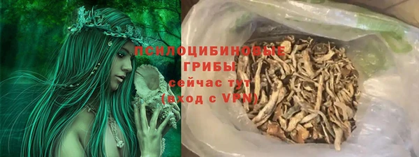 таблы Няндома