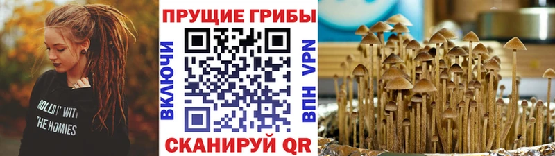 Галлюциногенные грибы GOLDEN TEACHER  Советск 